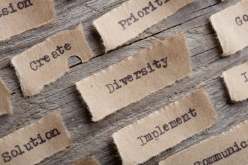 Designing for Diversity: Using Learner Personas to Create Inclusive Courses